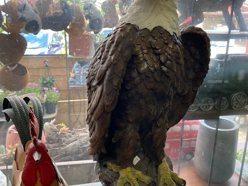 Somerville Garden Supplies - Eagle