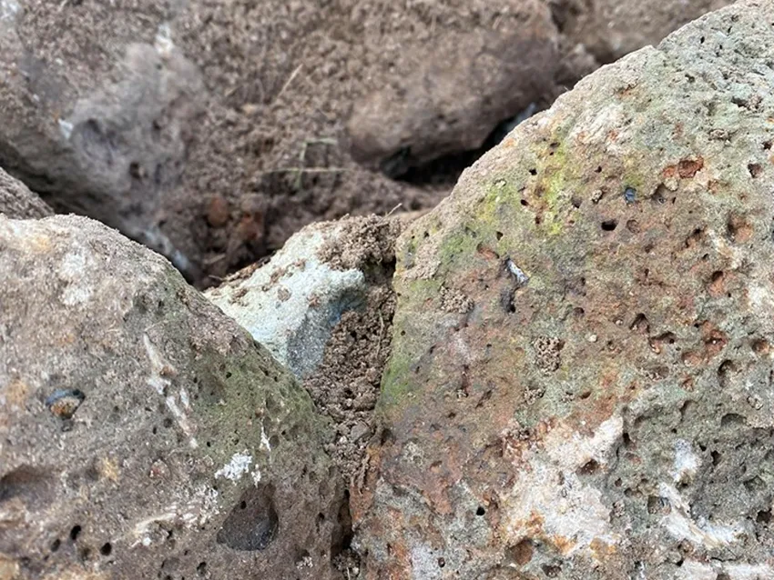 Somerville Garden Supplies - Honeycomb / Volcanic Rock