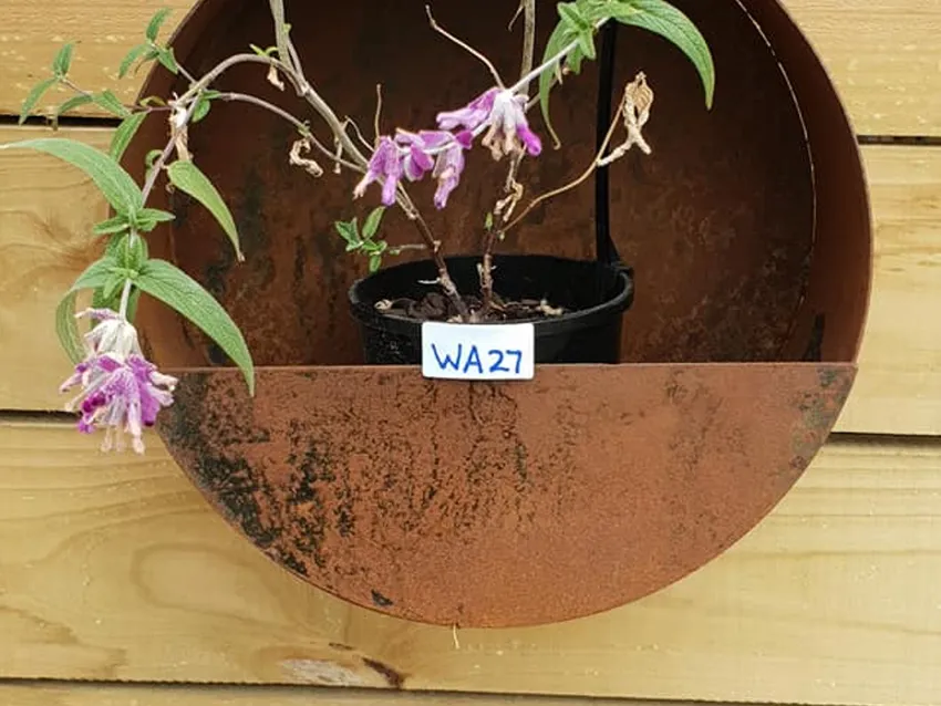 Somerville Garden Supplies - Circle Wall Planter