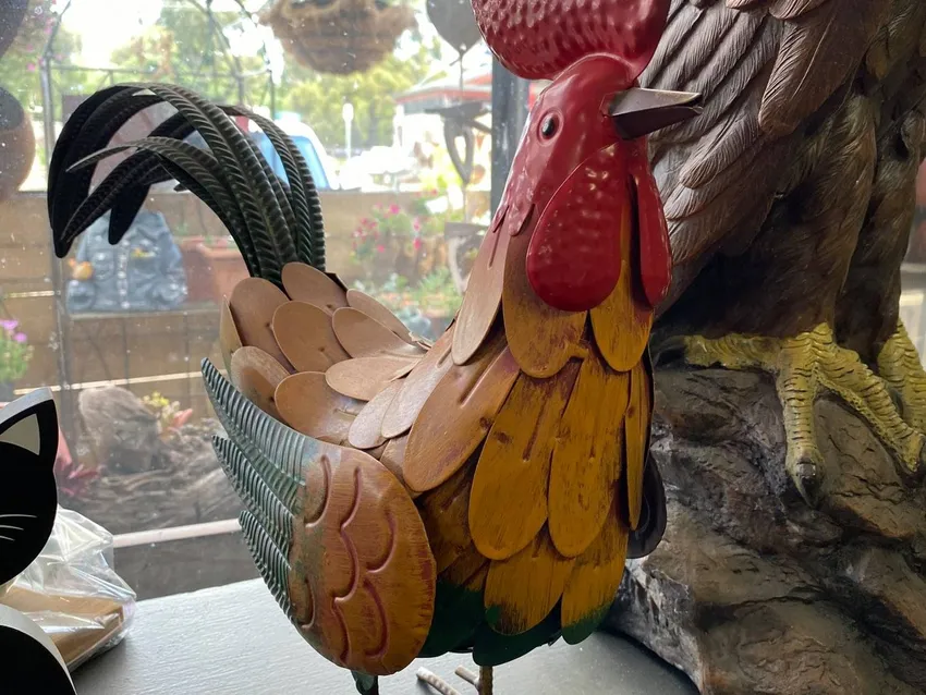 Somerville Garden Supplies - Rooster