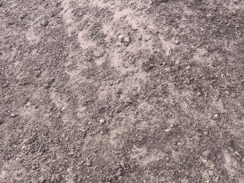 Somerville Garden Supplies - Premium Garden Soil