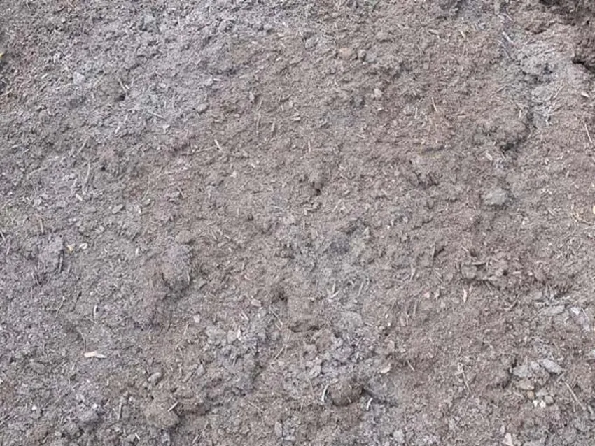 Somerville Garden Supplies - Organic Compost